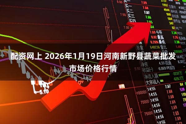 配资网上 2026年1月19日河南新野县蔬菜批发市场价格行情