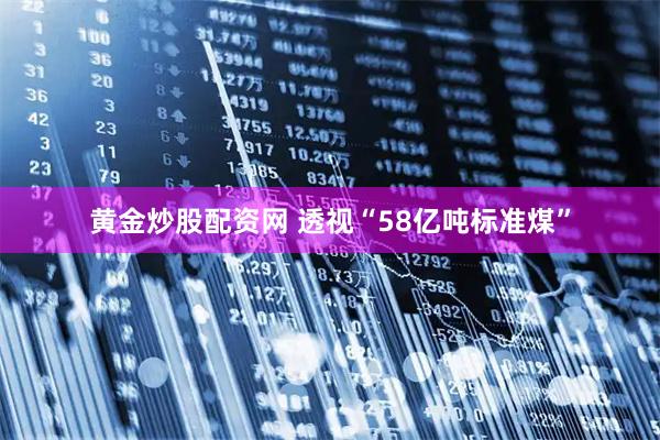 黄金炒股配资网 透视“58亿吨标准煤”